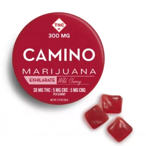 camino bliss gummies 300mg – wild cherry